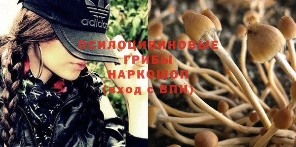 СК Богородицк