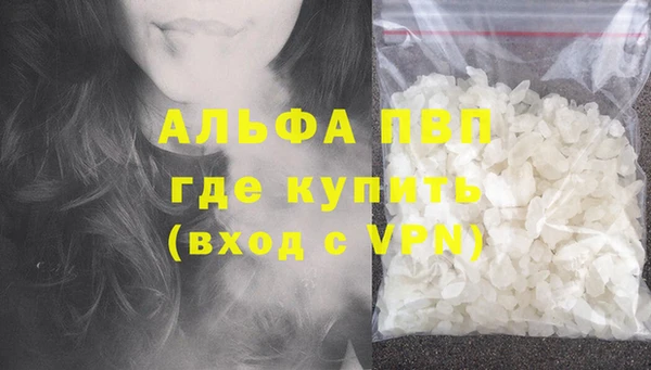 spice Верея