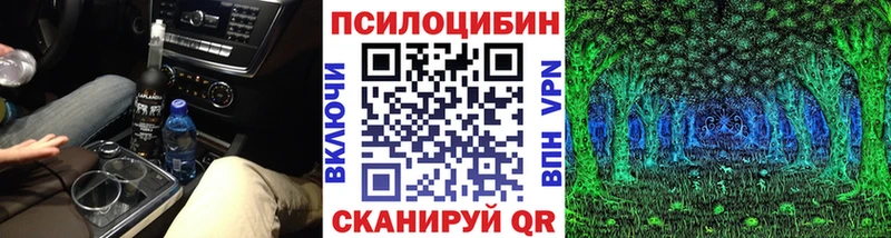 Галлюциногенные грибы Magic Shrooms  Купить закладки  Михайлов 